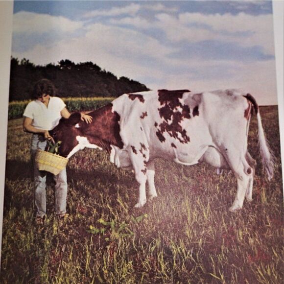 New Recipes from Moosewood Restaurant by Moosewood Collective 1987 Paperback - Picture 5 of 11